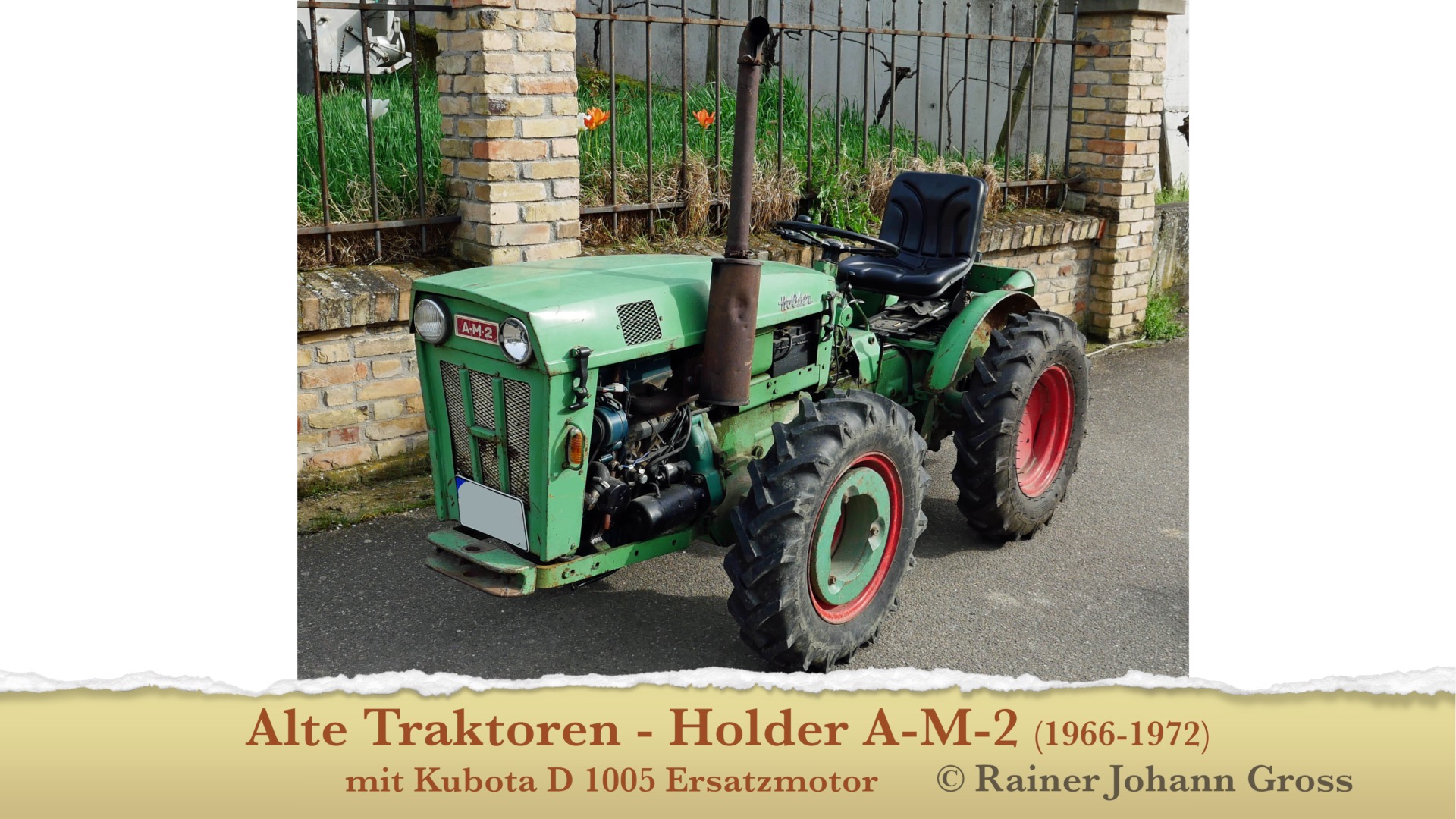 People at a concert facing the stage with various colours of paint powder in the air